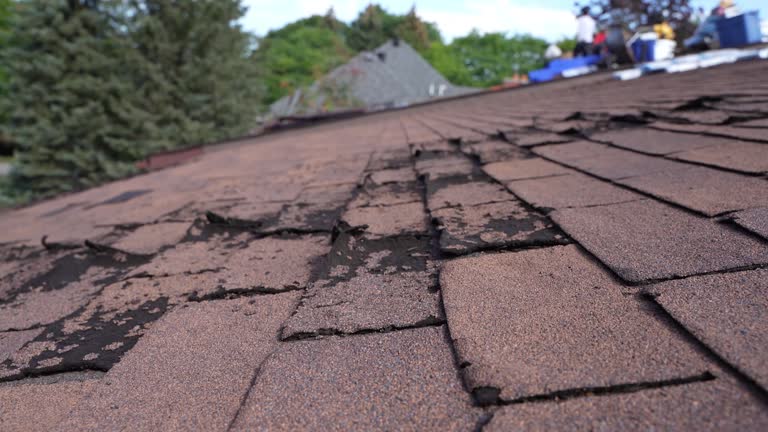 Professional Roofing Services in Captain Cook, HI