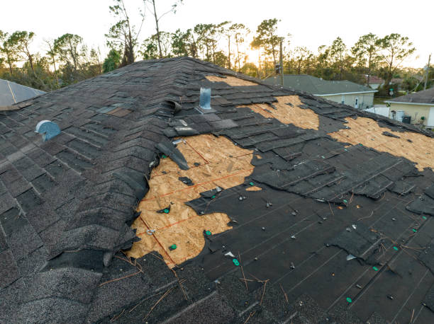 Best Steel Roofing  in Captain Cook, HI